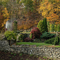 Autumn on the Mountainside 